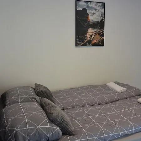 Nika Eslo Apartaman Апартаменты